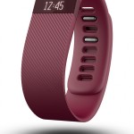 Fitbit Charge L
